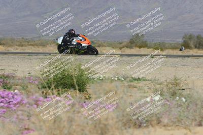 media/Feb-04-2023-SoCal Trackdays (Sat) [[8a776bf2c3]]/Turn 15 Inside Blooming (1050am)/